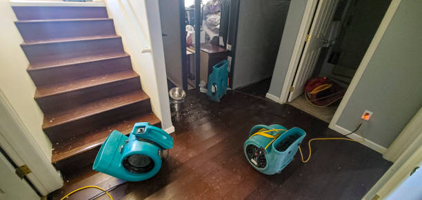 Best Ceiling water damage repair  in Greenville, RI