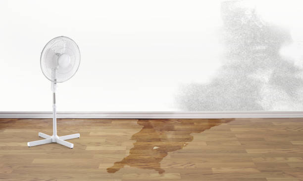 Best Commercial water damage restoration  in Greenville, RI
