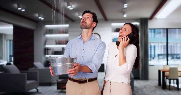 Best Water damage restoration insurance claims  in Greenville, RI